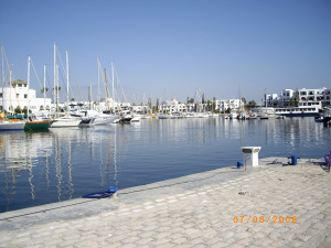 The Marina